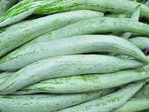 Snake Gourd/Snakegourd Kerala 2pc (Approx 400g - 600)