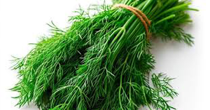 Sabbaxshi leaf 1 bunch