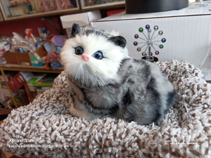 Cute Kitty
