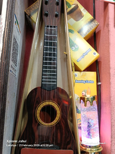 AUCASTIC GUITAR