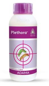 Plethora