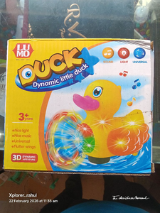 DYNAMIC DUCK