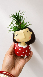 Airplant & Pot Combo