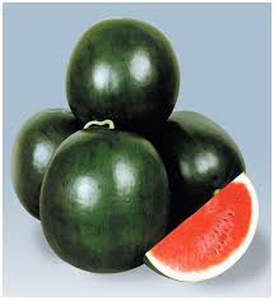 Watermelon 1pc (Approx 2.5kg - 3.5kg)