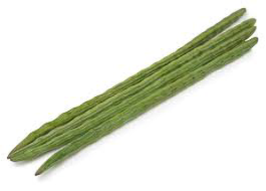 Drum Sticks 1 peice