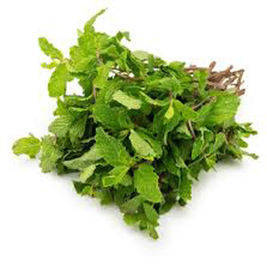 Mint Leaf 1 bunch
