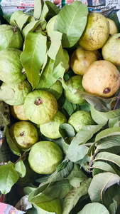 guava