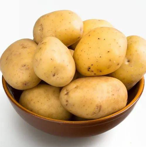 Patato