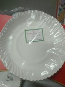 Paper Plate 10inch( 15) Pc