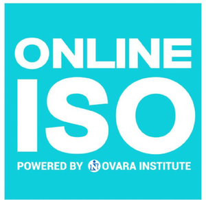 Online ISO Consultant