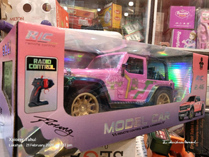 RC MODEL CAR