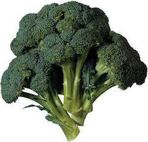 Broccoli 1pc (Approx 300g - 400g)