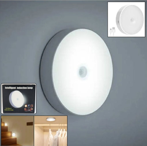Motion Sensor Led Light (1pcs)