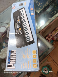 ELECTRONIC PIANO CASIO