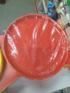 Plastic Febar Plat 12 Inch. (6)Pc