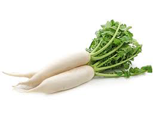 Radish White 2pc (Approx 300g - 400g)