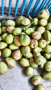 Tender Coconut🥥
