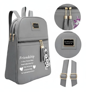Bag Pack Gray Color