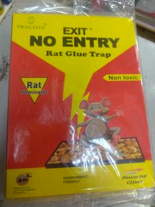 Rate Glue Trap 1pc