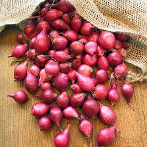 Sambar Onion (Approx 250g - 300g)