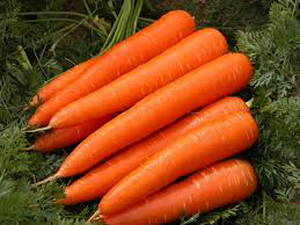 Carrot (Approx 250g - 300g)