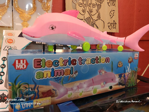 ELECTRIC FISH